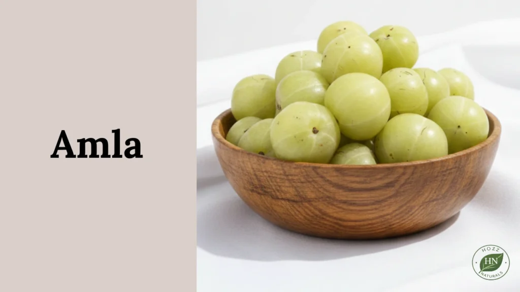 Amla in Urdu