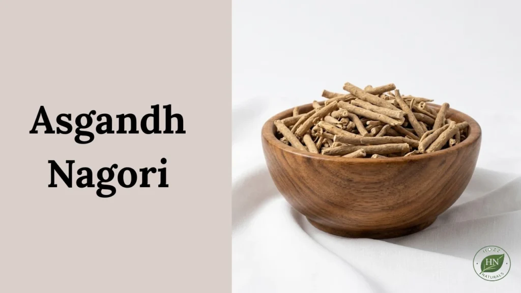 Asgandh Nagori (Ashwagangha) in Urdu